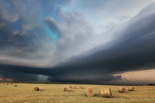 Load image into Gallery viewer, 2025 Season Print Raffle!