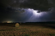 Load image into Gallery viewer, 2025 Season Print Raffle!