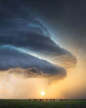 Load image into Gallery viewer, 2025 Season Print Raffle!