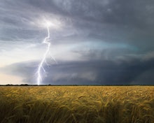 Load image into Gallery viewer, 2025 Season Print Raffle!