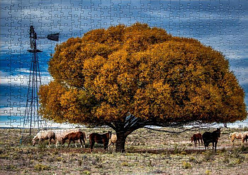 Puzzle 16x20 (520 pieces) - Tim Baca Photography