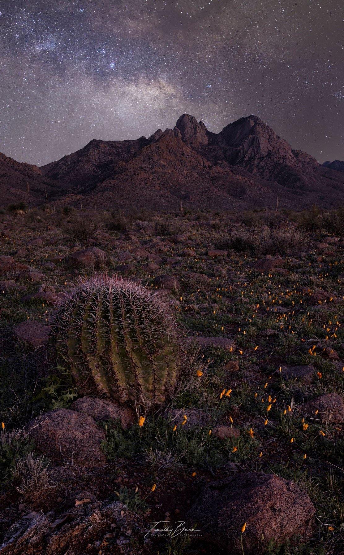 Organ Mountains Spring Night - Tim Baca Photography